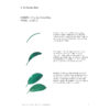 Watercolor Christmas Guide [Digital] – Bild 4