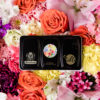 Schmincke Seasons Collection – Blooming Spring – Bild 3
