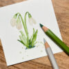 30 Tage Kreativität – Blumen / Faber-Castell Albrecht Dürer Aquarellstifte