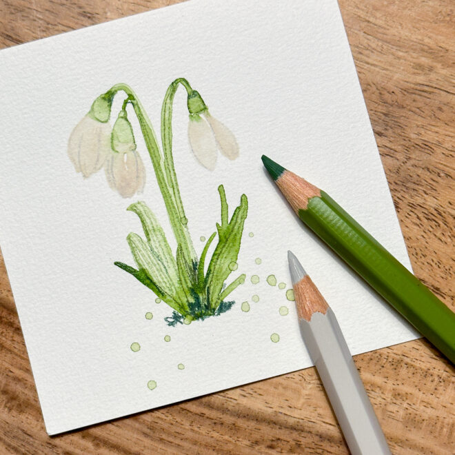 30 Tage Kreativität – Blumen / Faber-Castell Albrecht Dürer Aquarellstifte